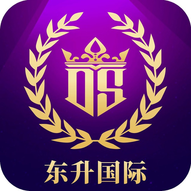 东升国际